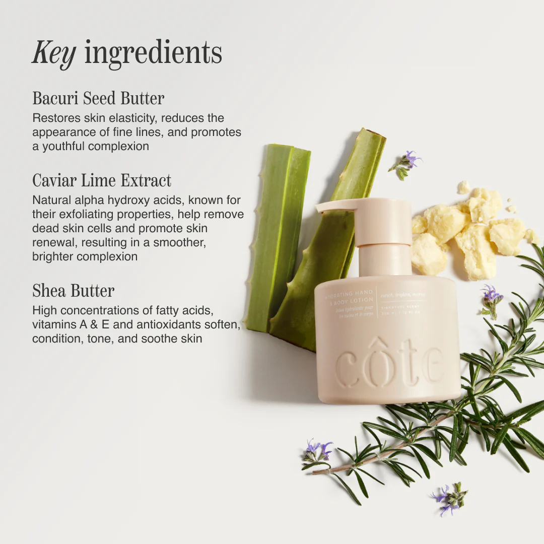 Body Essentials Bundle - Image 4